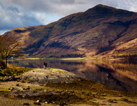 Admiring_The_View-Loch_Linnhe