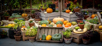 Autumn_Fayre