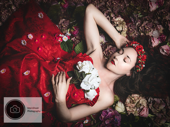Sleeping_Beauty